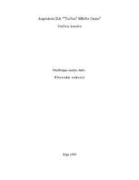 Referāts 'Pārvedu vekseļi', 1.