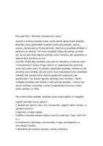 Eseja 'Atkarību sekas', 1.