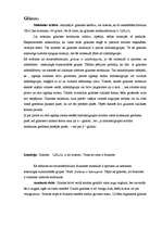 Referāts 'Ogļhidrāti', 3.