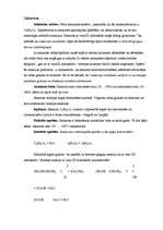 Referāts 'Ogļhidrāti', 5.