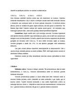 Referāts 'Ogļhidrāti', 7.