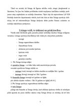 Referāts 'Līzinga darījumu uzskaite', 8.