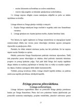 Referāts 'Līzinga darījumu uzskaite', 17.