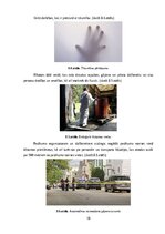 Referāts 'Drošības pasākumu atspoguļojums likumā „Par sapulcēm, gājieniem un piketiem”.', 18.