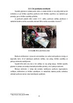 Referāts 'Drošības pasākumu atspoguļojums likumā „Par sapulcēm, gājieniem un piketiem”.', 31.