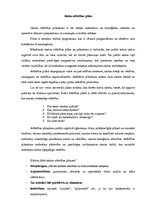 Konspekts 'Skolas attīstības plāns', 1.