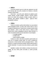 Referāts 'Rīgas pirmsskolas izglītības iestādes stratēģija', 2.