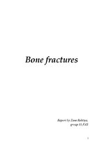 Referāts 'Bone Fractures', 1.