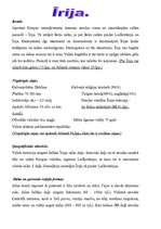 Referāts 'Īrija', 1.