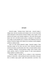 Referāts 'Ģeotermālā enerģija', 5.