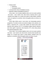 Referāts 'Ģeotermālā enerģija', 11.