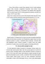 Referāts 'Ģeotermālā enerģija', 20.