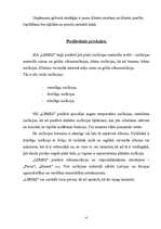 Biznesa plāns 'SIA "Lemes"', 4.