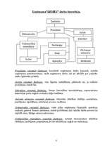 Biznesa plāns 'SIA "Lemes"', 8.