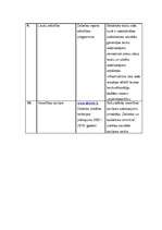 Konspekts 'Dobeles pilsētas teritorijas plānojums, 2007.-2019.', 6.