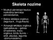 Prezentācija 'Balsta un kustību orgānu sistēma', 4.