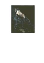 Eseja 'Konrāds Ubāns', 13.