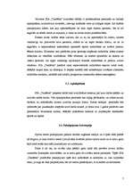 Biznesa plāns 'SIA "Tandēms"', 7.