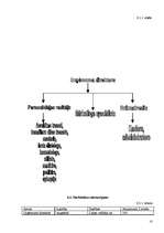 Biznesa plāns 'SIA "Tandēms"', 18.