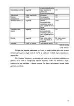 Biznesa plāns 'SIA "Tandēms"', 19.