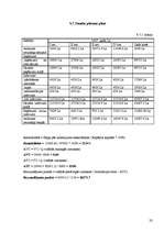 Biznesa plāns 'SIA "Tandēms"', 23.