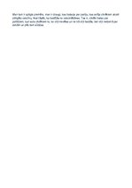 Paraugs 'Vēlēšanas', 4.