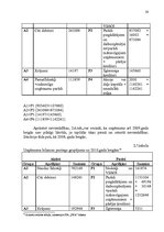 Referāts 'SIA "DPA" finanšu analīze', 19.