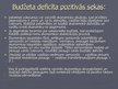 Prezentācija 'Budžeta deficīts un pārpalikums', 17.