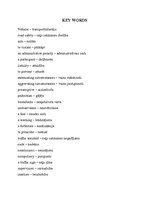 Referāts 'Administrative Violations in Road Traffic', 19.