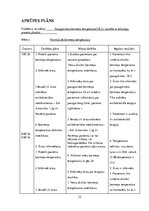 Prakses atskaite 'Aprūpes plāns terapijā', 22.