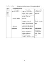 Prakses atskaite 'Aprūpes plāns terapijā', 26.