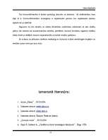 Referāts 'Dzimumu sociālā nevienlīdzība Latvijā', 15.