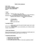 Konspekts 'Mājturības stundas plānojums', 1.