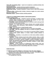 Konspekts 'Sociālā darba teorijas un metodes', 11.