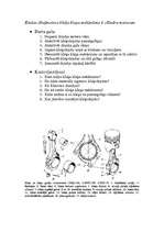 Konspekts 'Rindas dīzeļmotora kloķa klaņa mehānisms 6 cilindru motoram', 1.