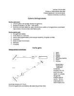 Paraugs 'Gabora hologramma', 1.