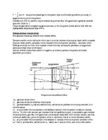 Paraugs 'Gabora hologramma', 2.