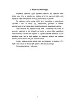 Referāts 'Gaļas pārstrādes cehs', 5.