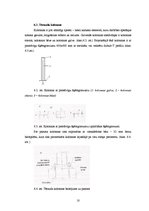 Referāts 'Gaļas pārstrādes cehs', 10.