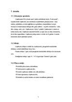 Referāts 'Pakalpojumu virzīšanas plāns apbedīšanas birojam', 3.