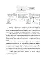 Referāts 'Kontroles dienests', 4.