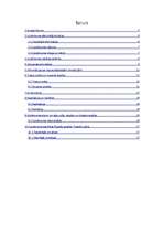 Biznesa plāns 'Biznesa plāns interneta veikalam', 3.