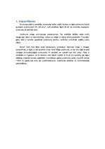 Biznesa plāns 'Biznesa plāns interneta veikalam', 5.