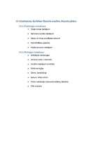 Biznesa plāns 'Biznesa plāns interneta veikalam', 17.