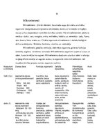 Referāts 'Minerālvielas', 10.