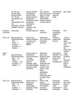 Referāts 'Minerālvielas', 11.
