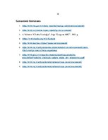 Referāts 'Minerālvielas', 18.