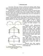 Referāts 'Jumtu veidi', 6.