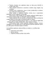 Referāts 'Uzņēmējdarbības vadīšana', 19.