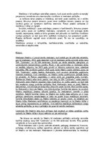 Eseja 'Mediācija', 3.